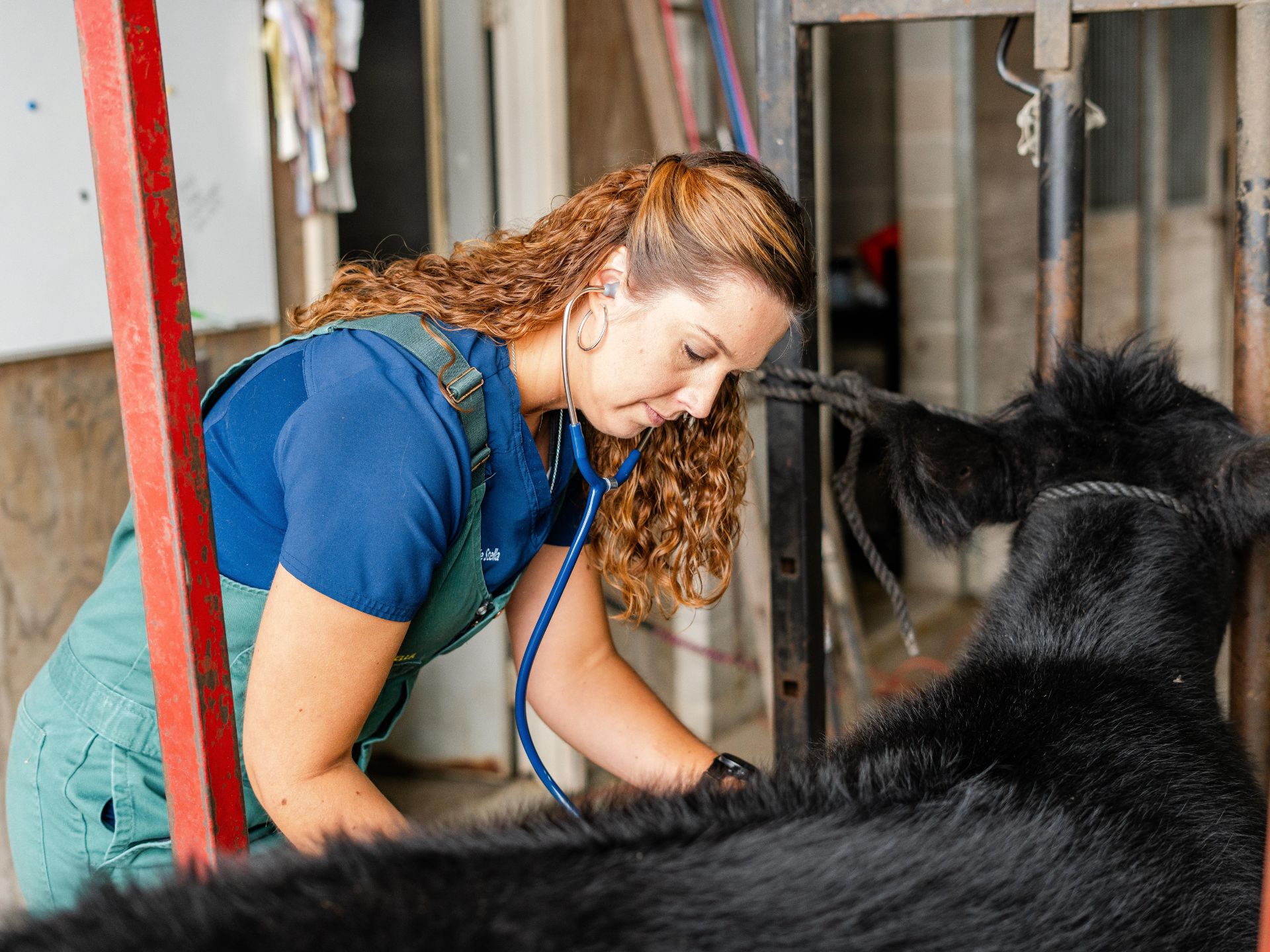 Farm Animal Services