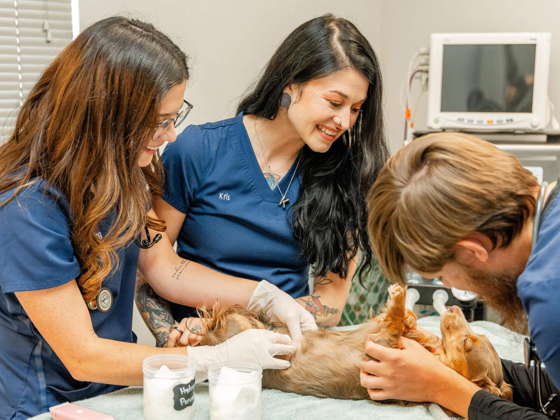 Veterinary hospital in Lebanon