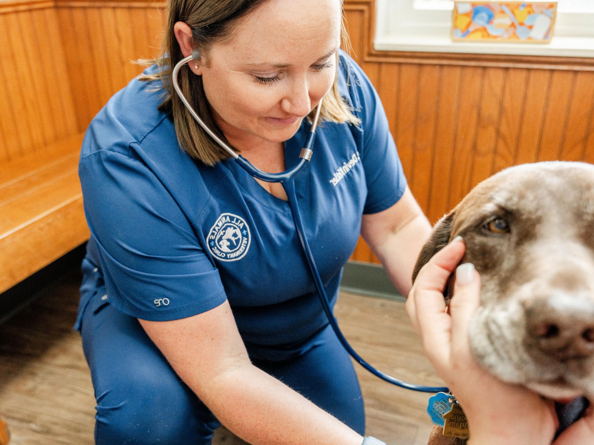 Dr. Kistler sits with a dog using a stethoscope.