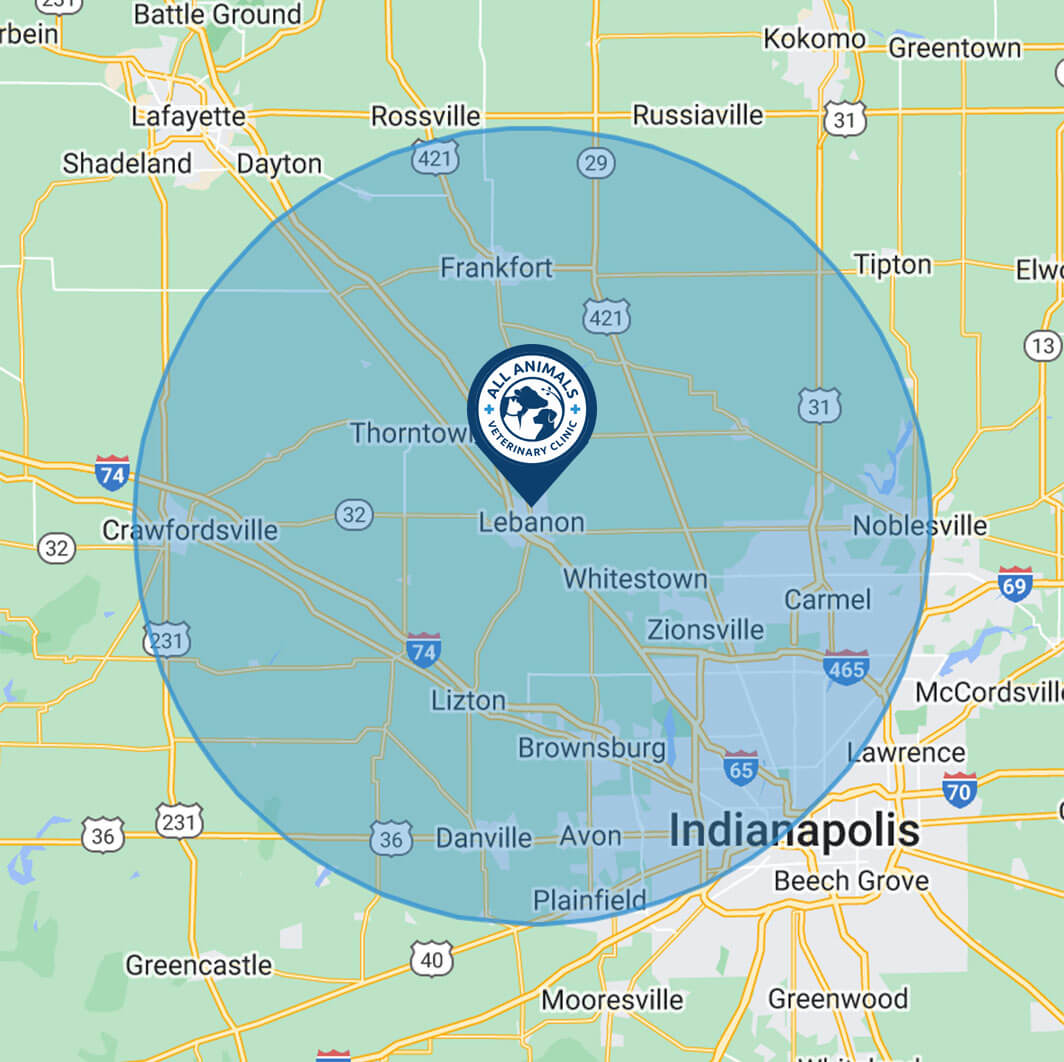 AAVC_service_map